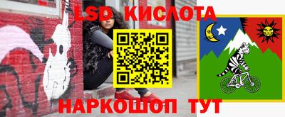 молекула духа Новозыбков