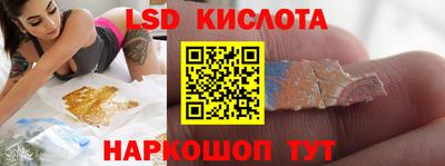 молекула духа Новозыбков