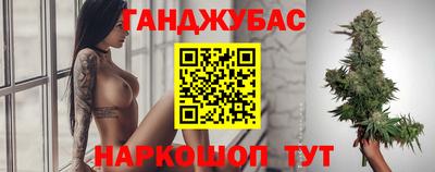гидра Новокубанск