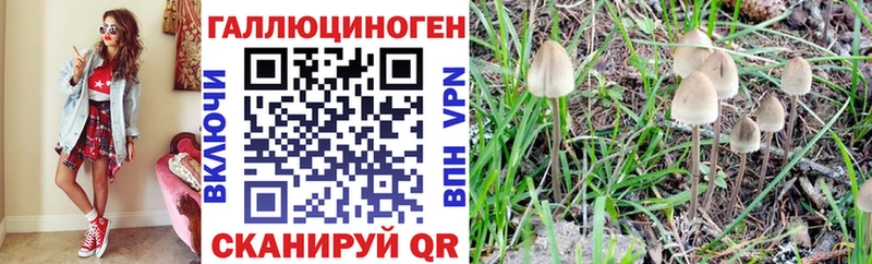 Псилоцибиновые грибы мицелий Шатура